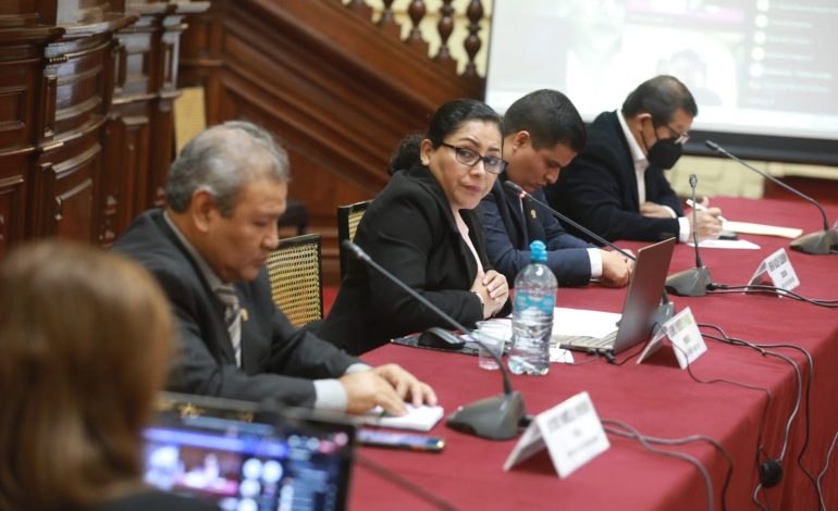 Comisión de Ética aprobó denunciar de oficio al congresista Freddy Díaz