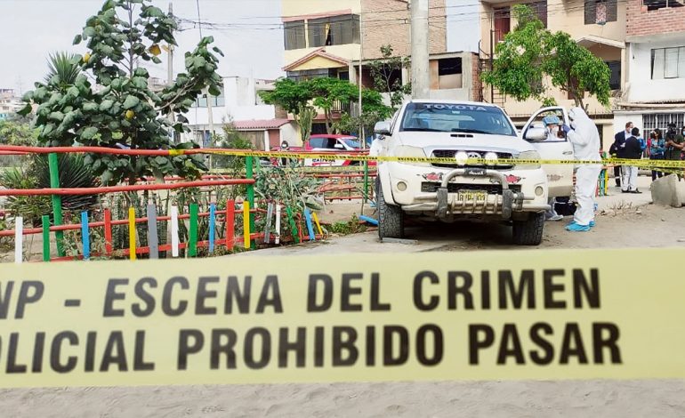 Al día se denuncian 260 delitos en todo el Perú