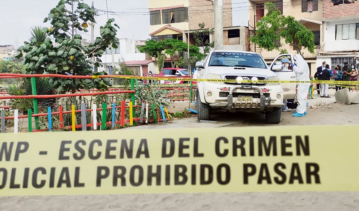 Al día se denuncian 260 delitos en todo el Perú