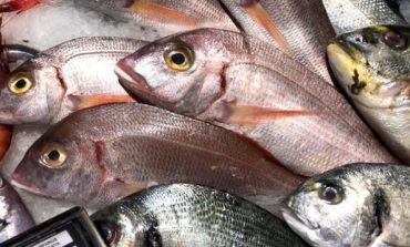 Fertilizantes elaborados con residuos de pescado son alternativa ante escasez mundial