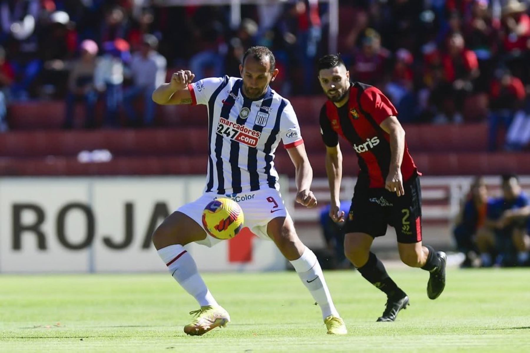 ¡Sale el campeón! Alianza Lima y Melgar definen hoy el título de la Liga 1 en Matute