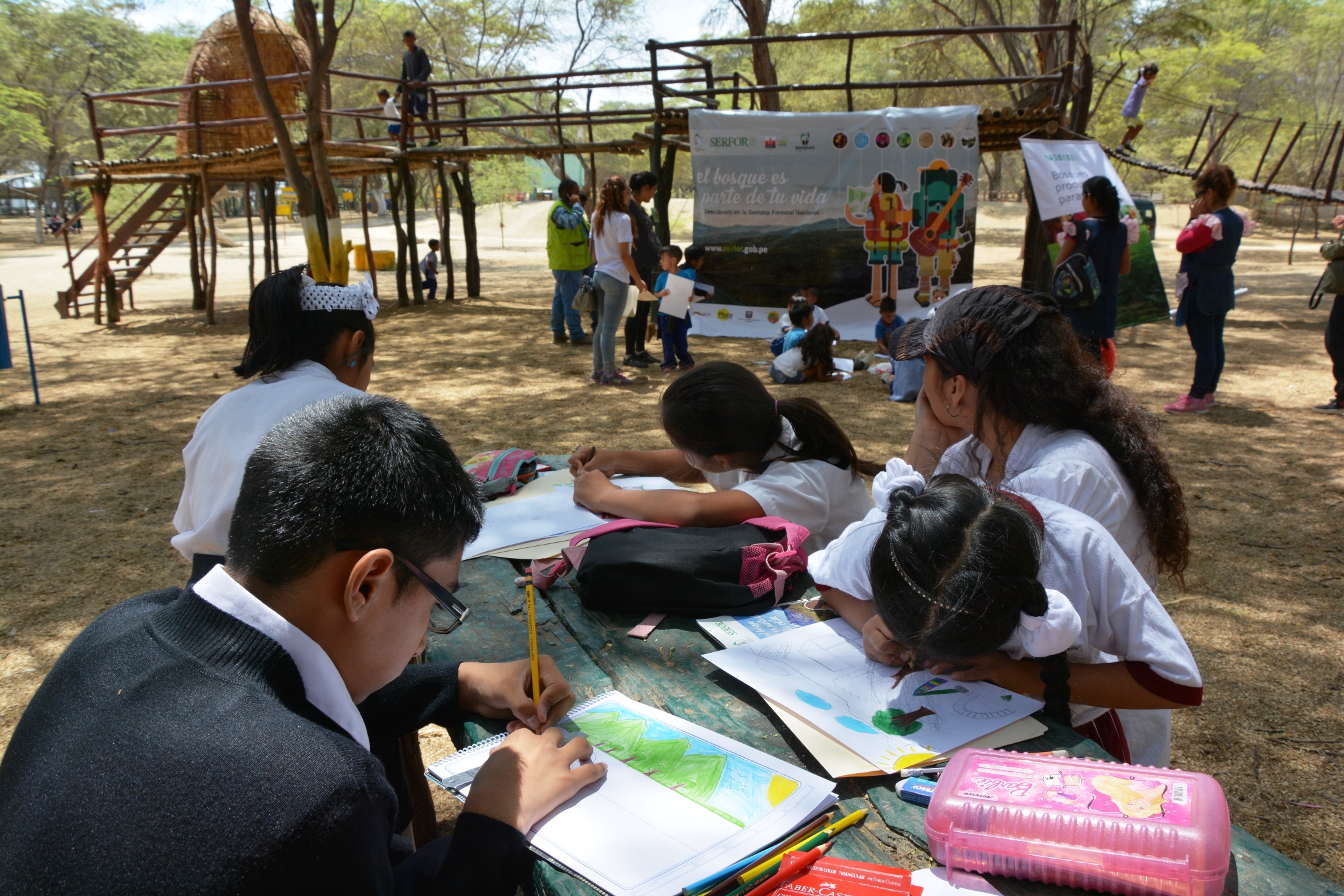 Piura celebrará semana forestal nacional con concursos