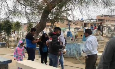 Piura: abejas atacaron a cuatro personas en cementerio de Tambogrande