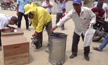 Piura: productores de miel de abeja y guanabana a portas de lograr financiamiento de agroideas