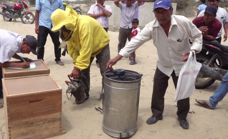 Piura: productores de miel de abeja y guanabana a portas de lograr financiamiento de agroideas