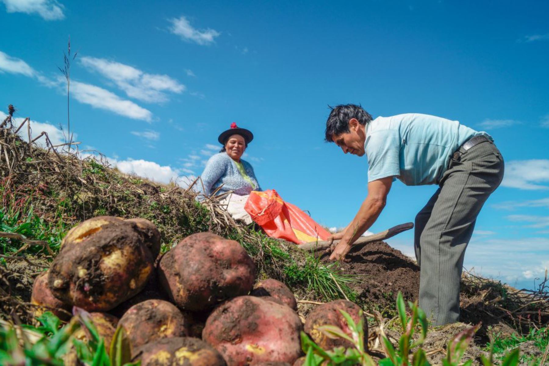 Otorgarán bono a agricultores para enfrentar la sequía