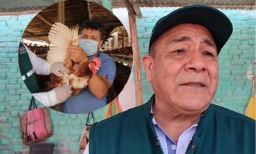 Senasa: descartan gripe aviar en aves de corral en Piura