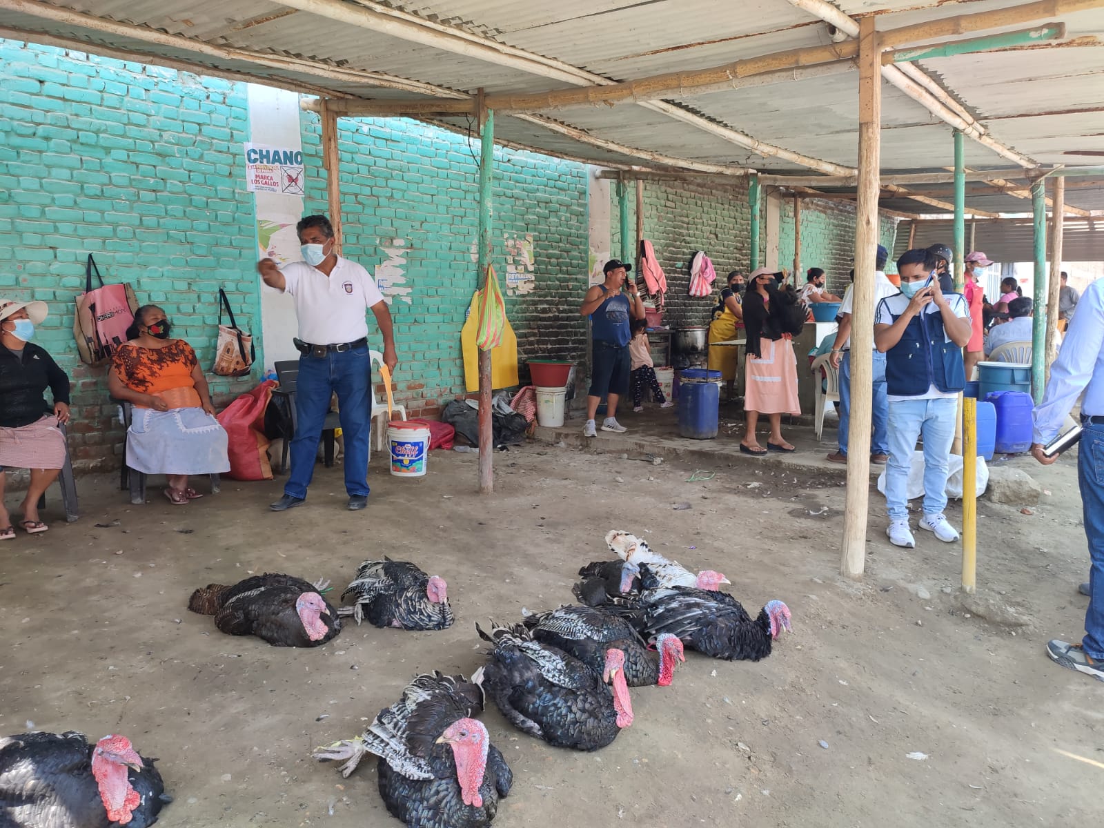 Piura: comerciantes preocupados por la baja venta de pavos en estas fiestas navideñas
