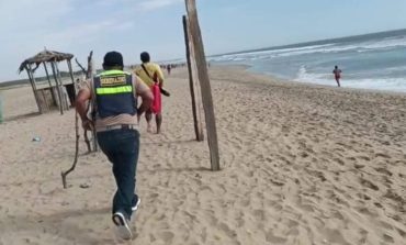 Sechura: dos personas se ahogan en la playa San Pedro