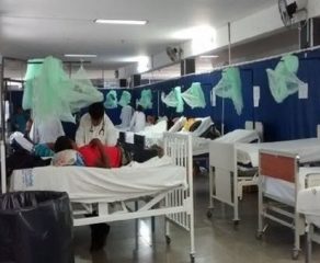 Piura: se confirman tres fallecidos por dengue luego de intensas lluvias