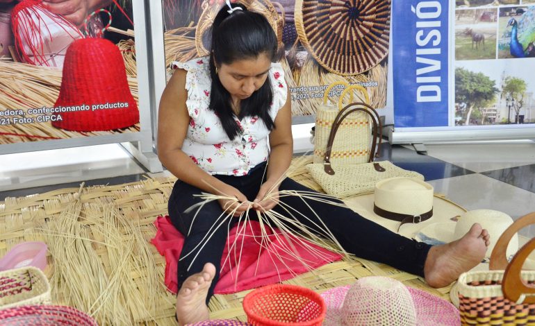 Mujeres del Bajo Piura enseñan su arte de la paja toquilla