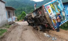 Piura: camión que transportaba ganado se voltea en plena carretera