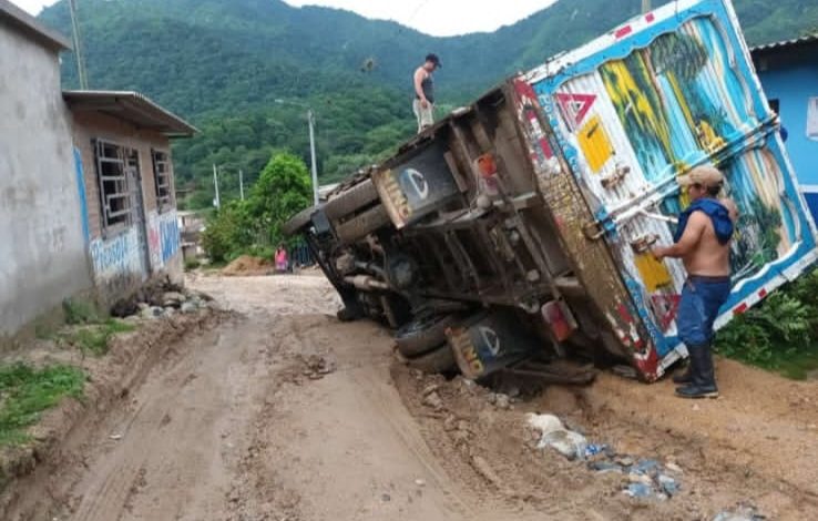Piura: camión que transportaba ganado se voltea en plena carretera