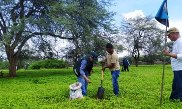 <strong>Piura: siembran semillas para aprovechar lluvias y recuperar bosque seco deforestado</strong>