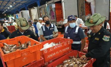 Piura: decomisan media tonelada de cabrilla en el terminal pesquero José Olaya