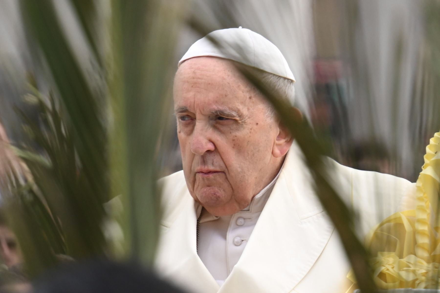 Papa Francisco: “Para nosotros, discípulos del Abandonado, nadie puede ser abandonado”