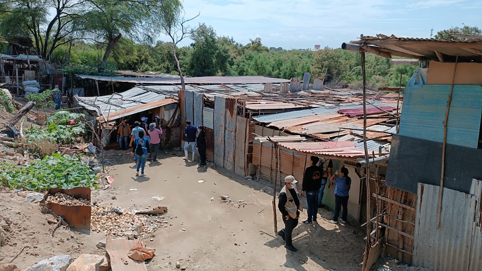 Piura: comuna da ultimátum a chancherías clandestinas