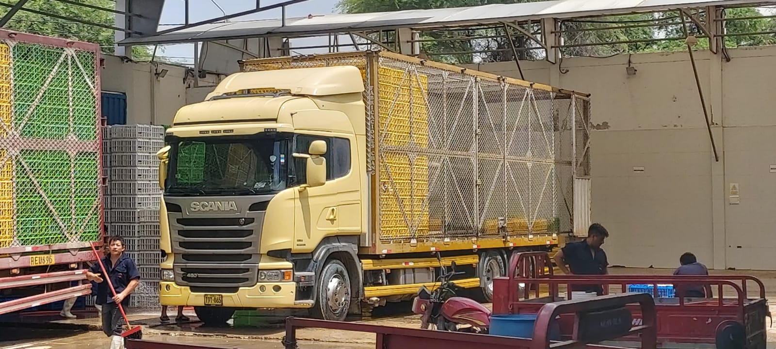 Piura: multan con más de dos mil soles a avícola por arrojar aguas servidas a la vía pública