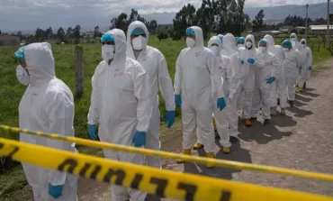 OMS confirma primer caso de muerte por gripe aviar