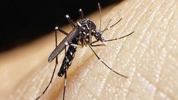 Dengue pasa el umbral de los 100 mil casos con 131 fallecidos