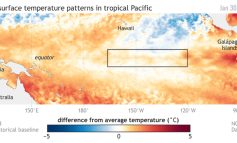 Administración Oceánica y Atmosférica de EE.UU: fenómeno meteorológico El Niño ya ha comenzado