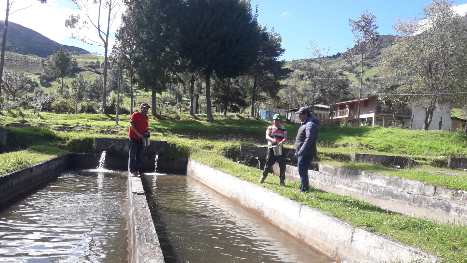 Sierra de Piura: con crianza de trucha se espera combatir desnutrición y pobreza