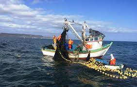 Piura: pescadores pese a las dificultades preservan el recurso marino