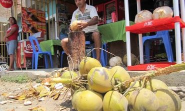 El agua de coco ayuda a combatir la deshidratación en casos de dengue, pero no cura esa enfermedad