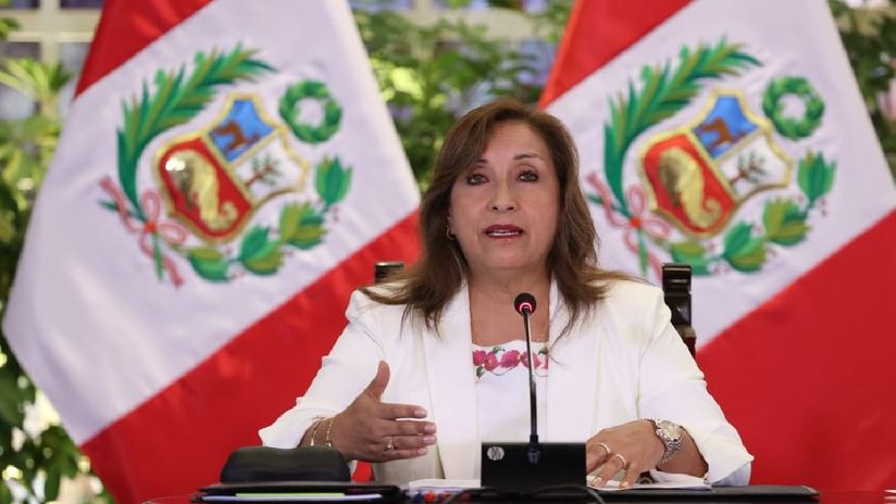 Dina Boluarte es coautora de un libro con más de la mitad del contenido plagiado, según Punto Final
