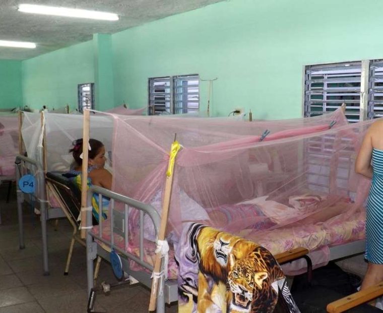 Piura: según último reporte de Diresa hay 127 fallecidos por dengue
