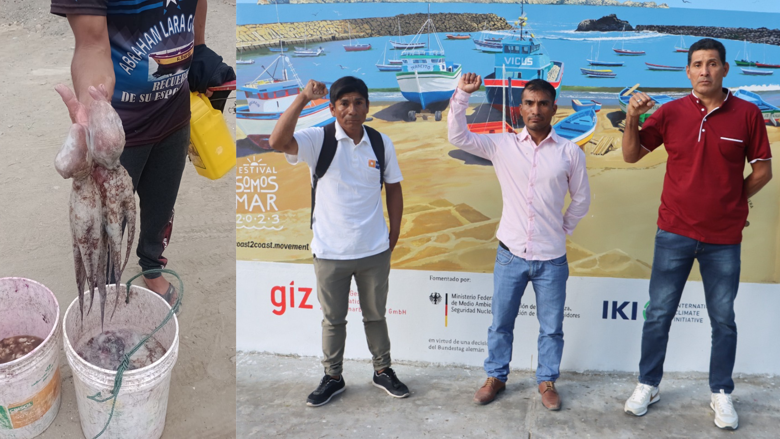 Pescadores de pulpo en Piura y Lambayeque: 14 años en crisis por una veda que consideran absurda
