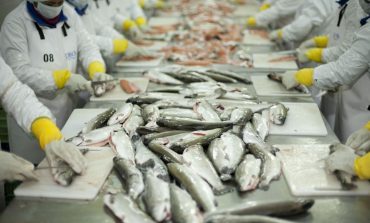 Piura fue la principal región de origen de las exportaciones pesqueras no tradicionales entre enero y mayo