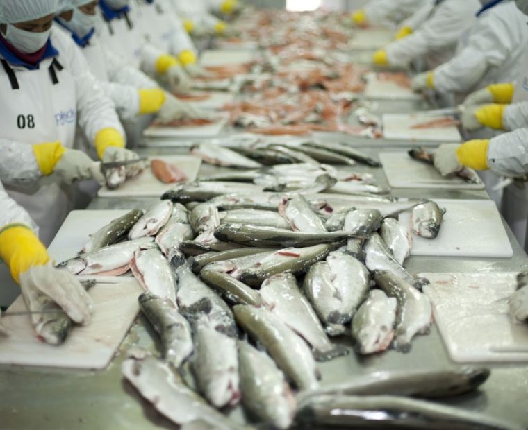 Piura fue la principal región de origen de las exportaciones pesqueras no tradicionales entre enero y mayo