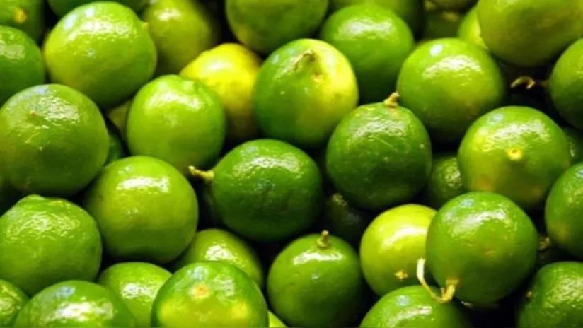 Precio del limón podría caer por debajo de los S/7 en diciembre