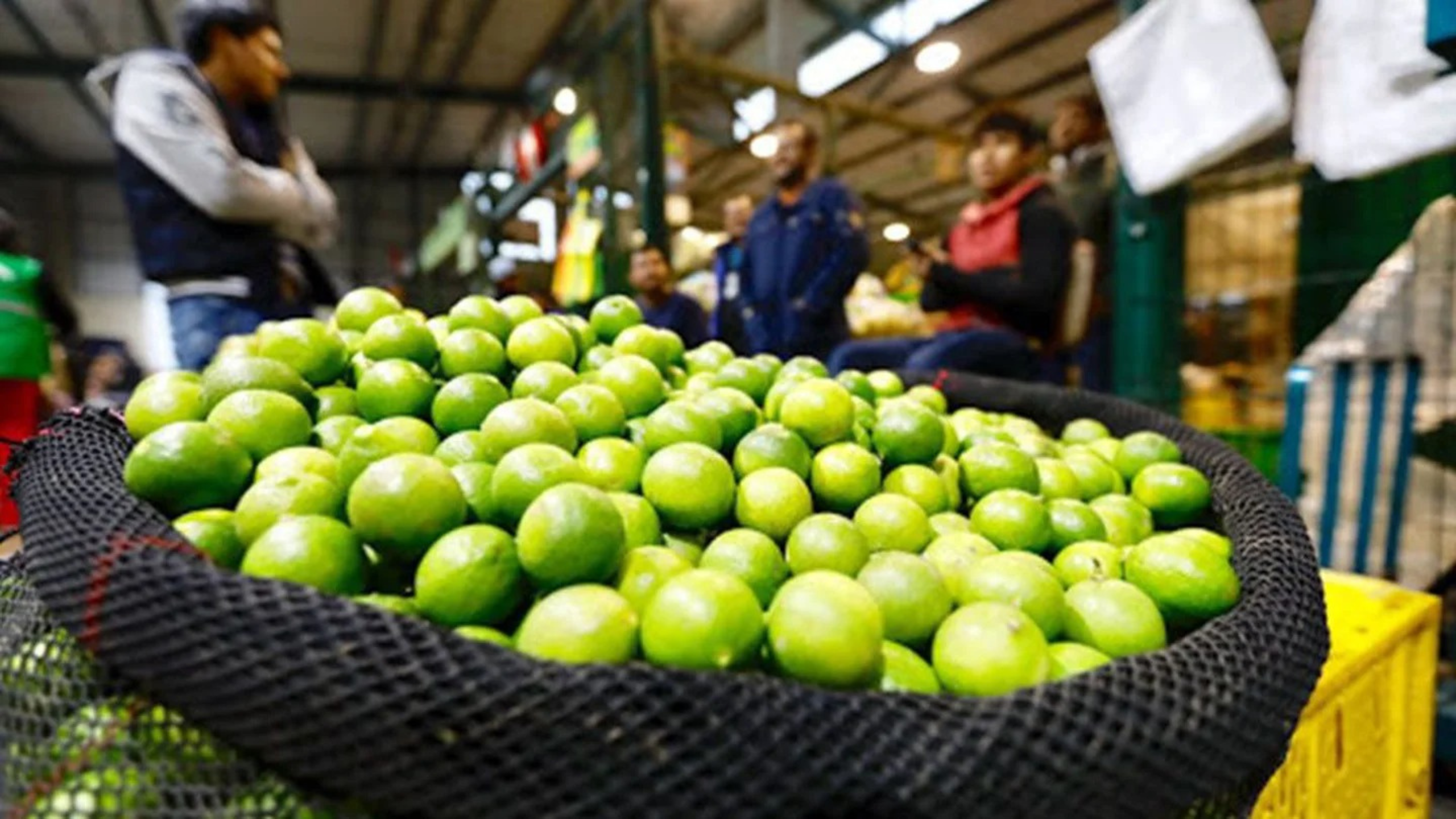 Piura: ¿cuál es el precio del kg de limón?