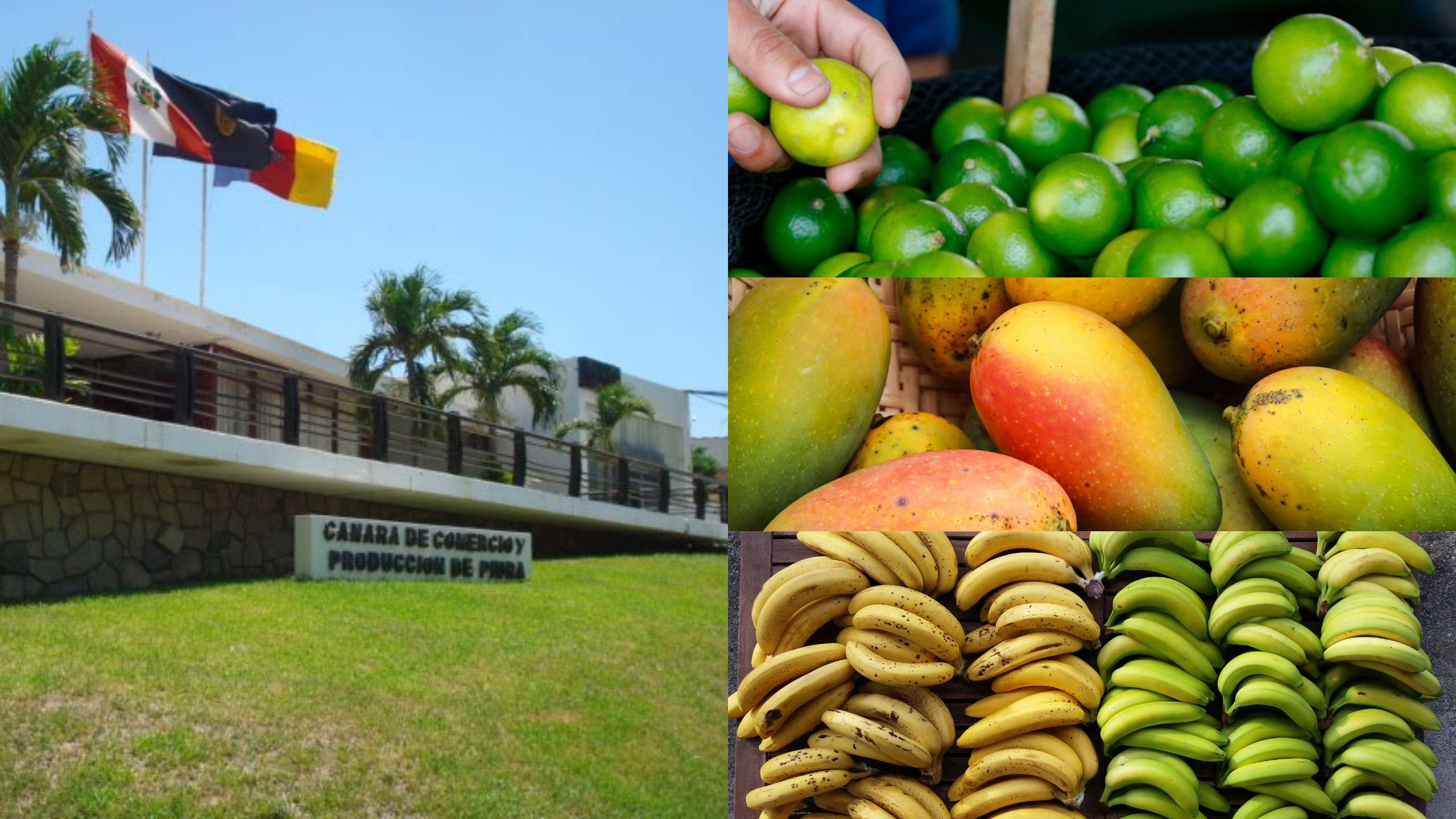 Camco Piura insta al Gobierno a tomar medidas urgentes para enfrentar estragos del fenómeno de El Niño