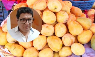 FEN en Piura: de 26 a solo dos toneladas de mango por hectárea