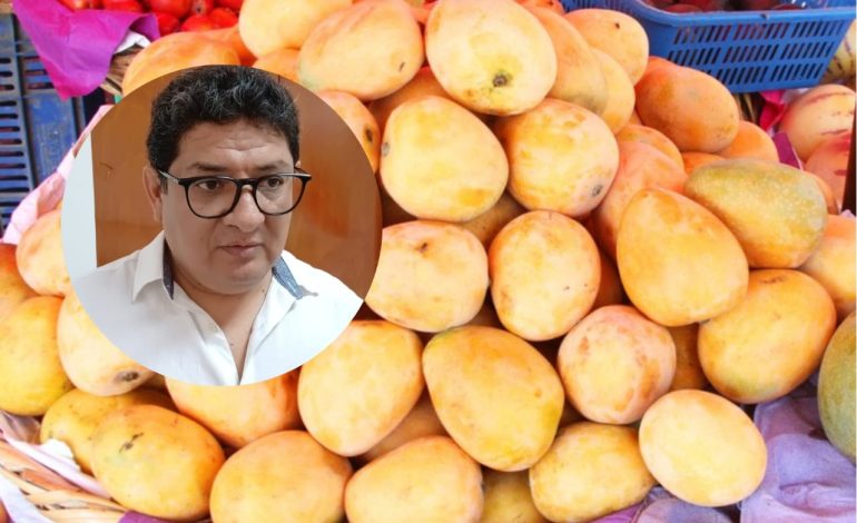 FEN en Piura: de 26 a solo dos toneladas de mango por hectárea