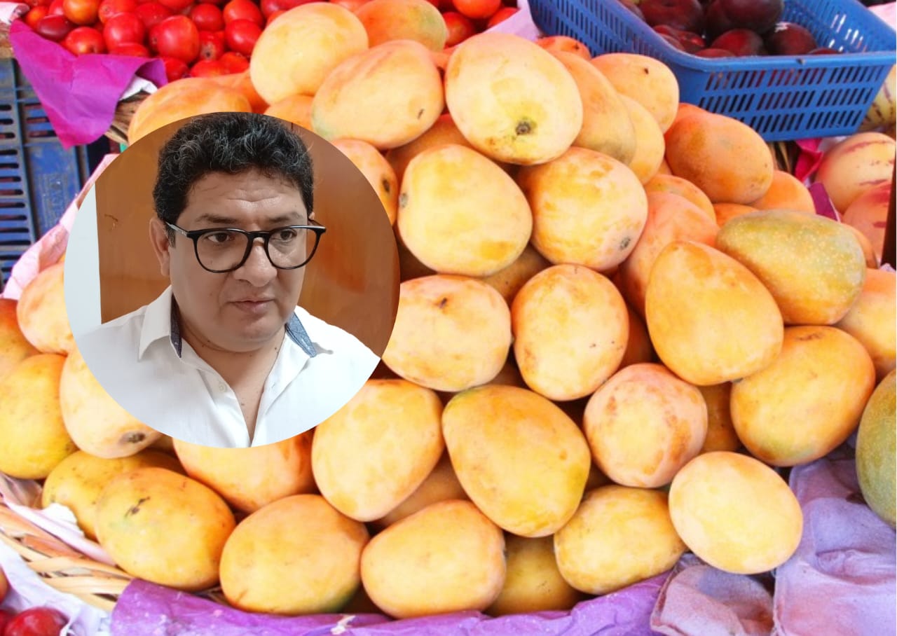 FEN en Piura: de 26 a solo dos toneladas de mango por hectárea