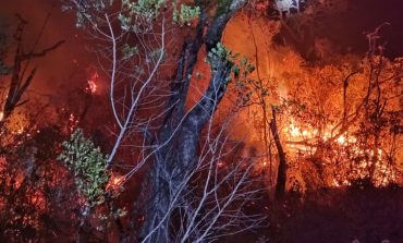 Reportan incendio forestal cerca al cerro Aypate en Ayabaca