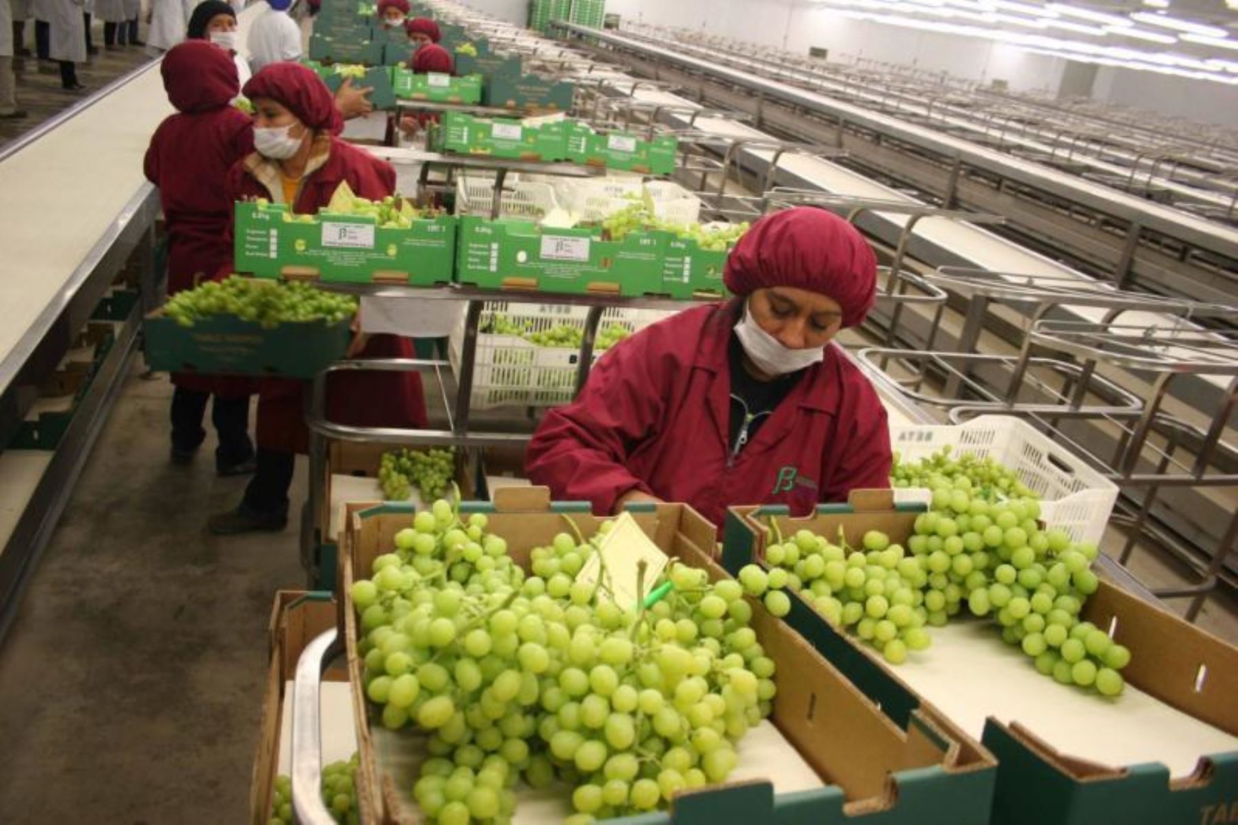 ¿Todos los que laboren en feriado reciben triple pago? Sunafil detalla las excepciones