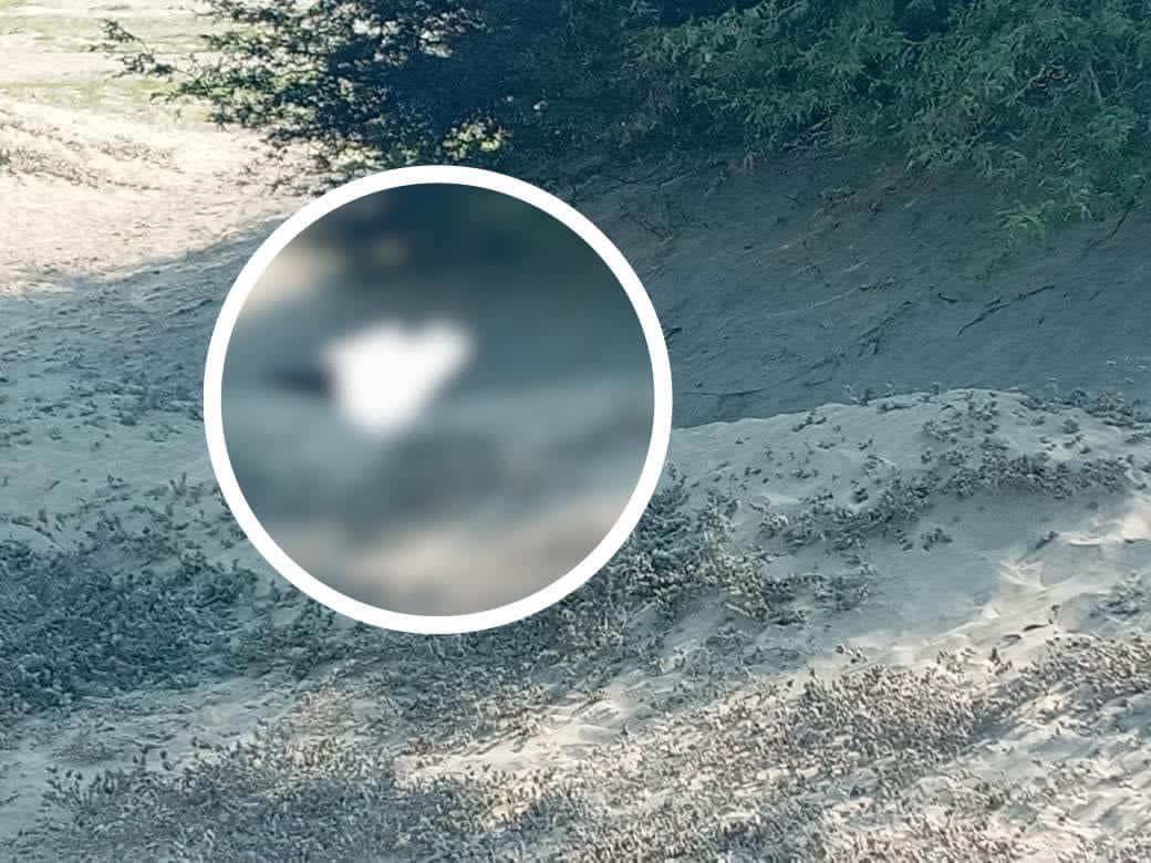 Macabro hallazgo en Bajo Piura: encuentran cuerpo carbonizado