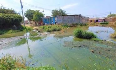 Más de 200 familias de Piura viven rodeadas de agua de desagüe