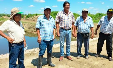 Agricultores de Piura exigen mantener precios justos en cosecha de arroz ante situación económica adversa