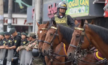Congresistas piden prohibir el uso de caballos de la Policía para resguardar eventos sociales o deportivos