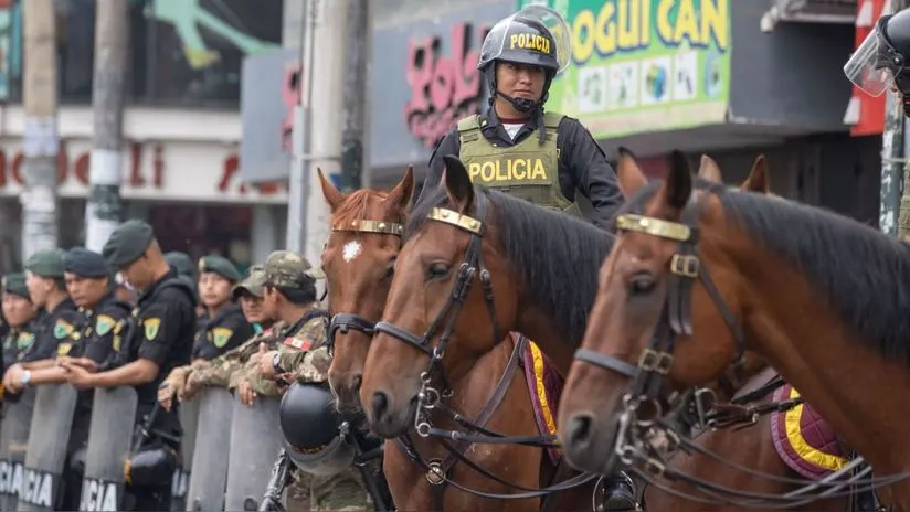 Congresistas piden prohibir el uso de caballos de la Policía para resguardar eventos sociales o deportivos