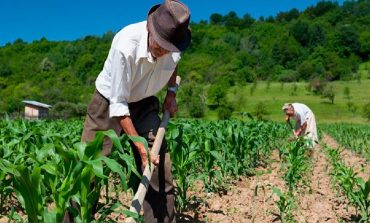 Sullana: Ofrecen tres mil puestos de trabajo en agricultura para ir a Israel