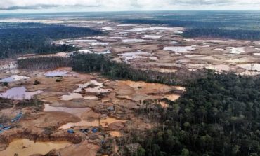Congreso ordena promulgar ley que permite la deforestación ilegal