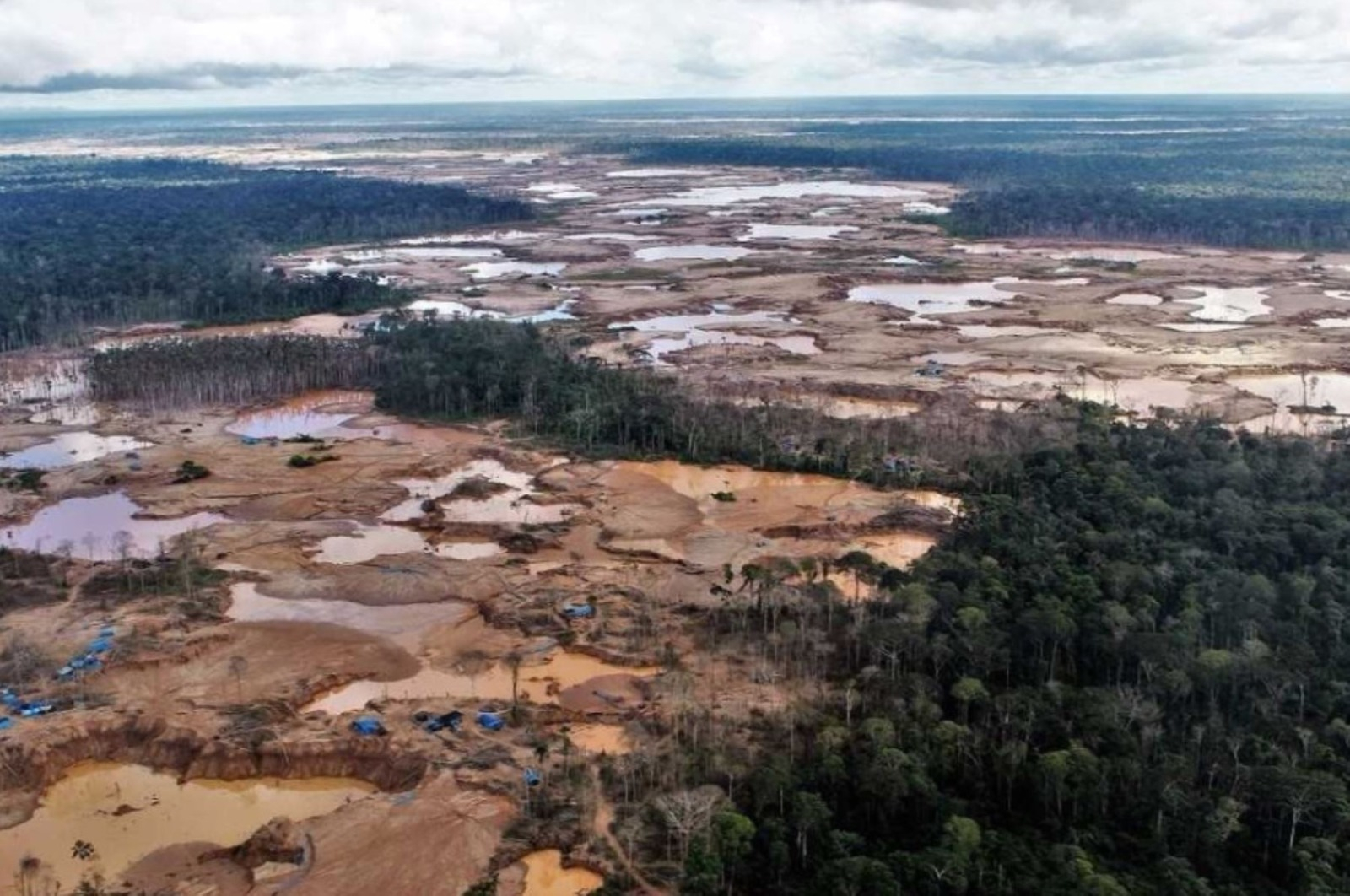 Congreso ordena promulgar ley que permite la deforestación ilegal