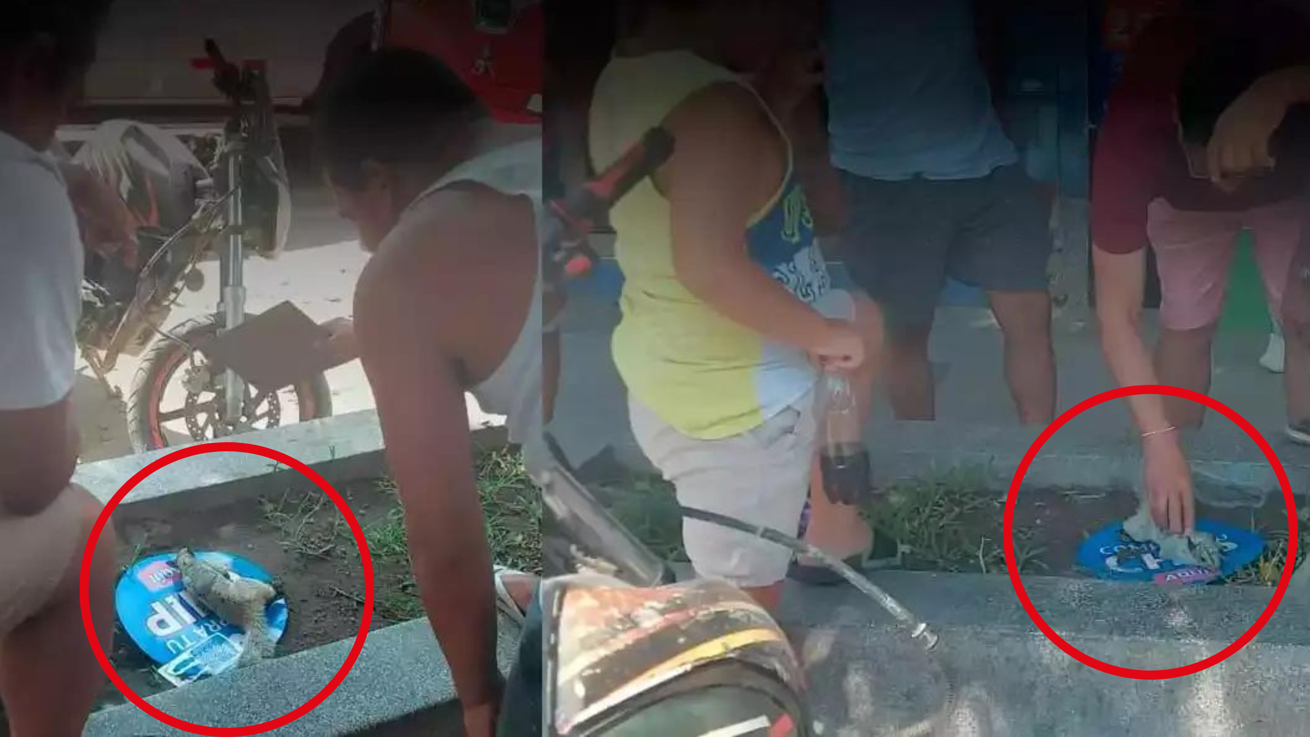 Centro de Piura sin luz debido a incidente con ardilla